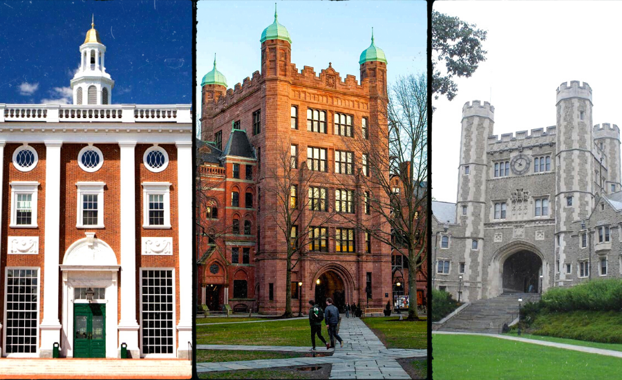 Ivy Leagues in the USA